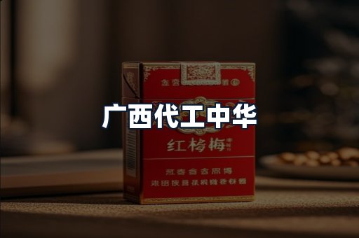 广西代工中华